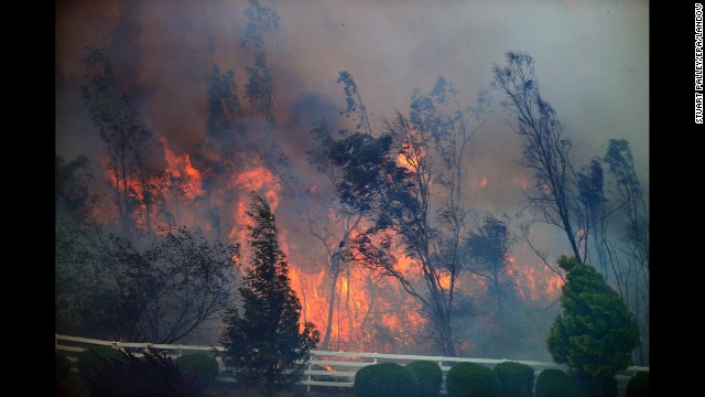 Trees burn on May 13 as the San Diego wildfire moves through a canyon between Rancho Santa Fe and the Fairbanks Ranch area.