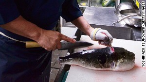 Before fugu is served, chefs remove the fish\'s toxic internal organs. 
