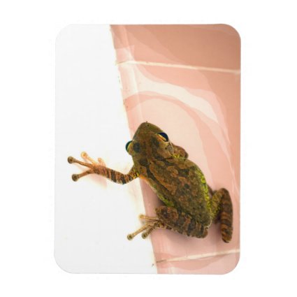 tree frog leg up stylized pink animal rectangle magnets