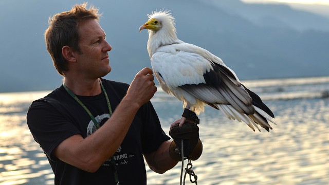 Scott Mason, founder of the Parahawking Project, uses two rescued Egyptian vultures, found and rehabilitated in Nepal, for his parahawking flights. 