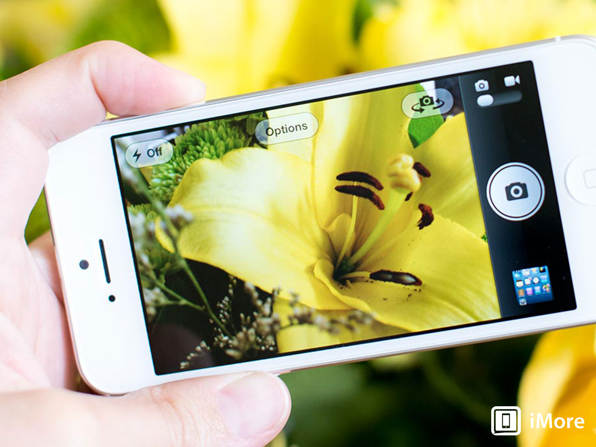 Shooting and editing photos with the iPhone 5 and Photoshop Express