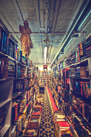 "Bookman-Bookwoman" captured by This Room Became A Hill. (Click image to see more from This Room Became A Hill.)