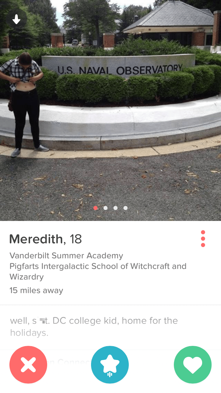 funny dating image girl's tinder profile pun game is strong