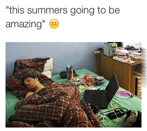 Every Summer, in a Nutshell