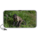 Capuchin Monkey Mugging for the Camera Portable Speakers