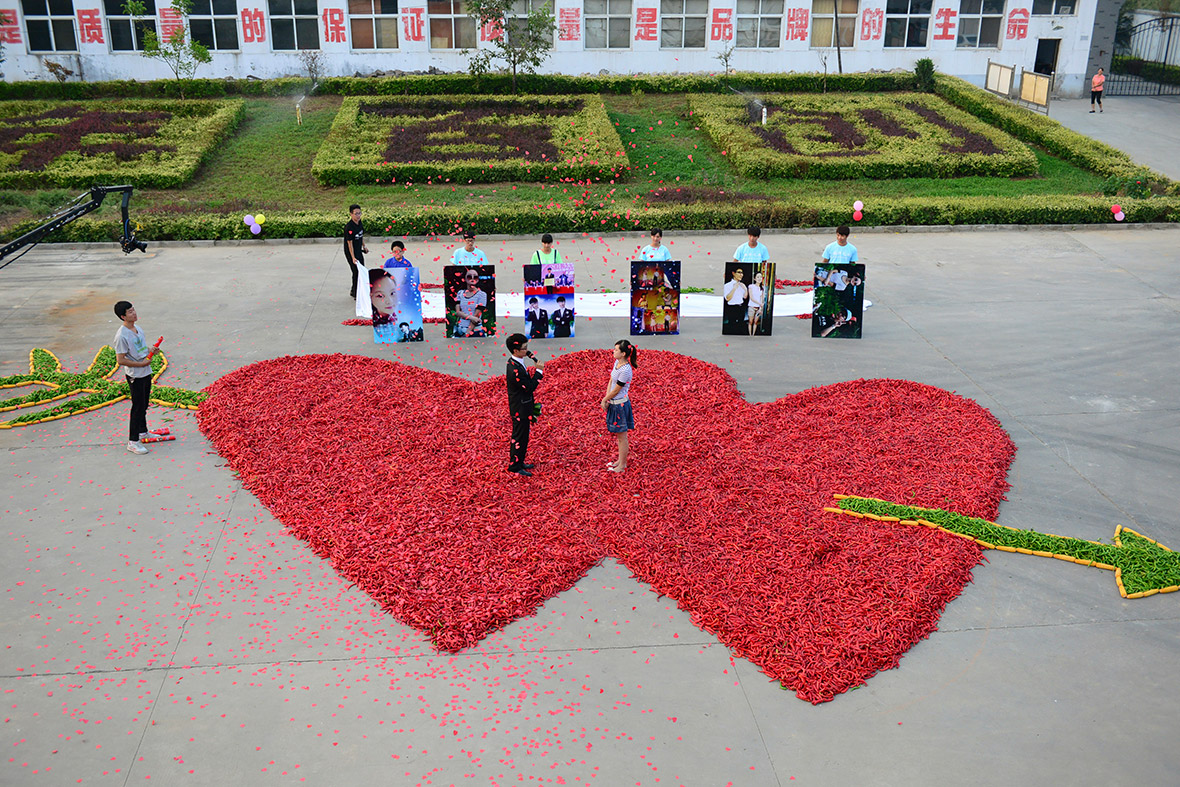 Dou Ziwang, an employee of a chilli processing factory, proposes to his girlfriend on hearts made of around 100,000 chillies, in Handan, Hebei province, China