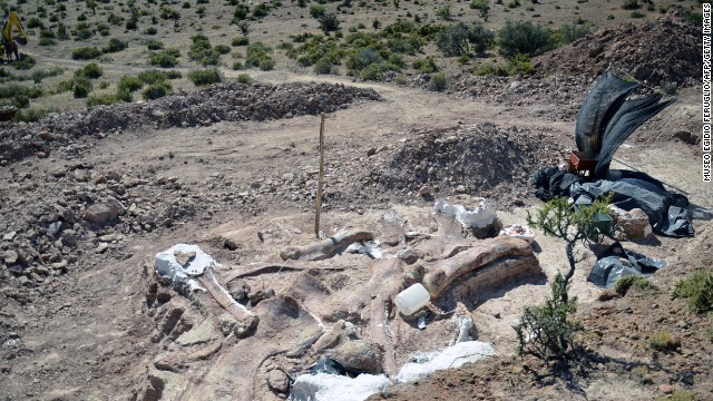 The partially uncovered fossils can be seen in the area where they were discovered.