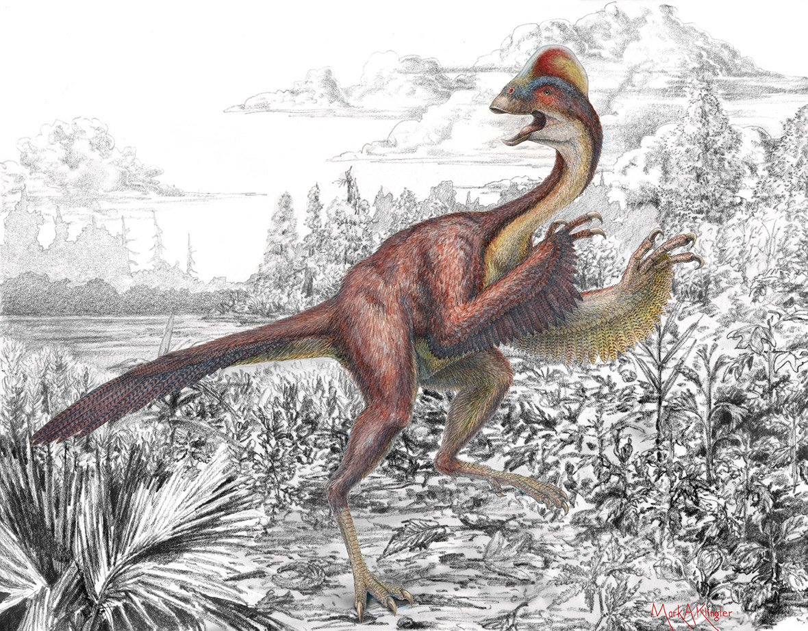 An artist's impression of a previously unknown bird-like dinosaur formally called Anzu wyliei, but more popularly named 'the chicken from hell'. The seven-foot-tall creature weighed about 500 pounds when it roamed western North America 66 to 68 million years ago