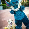 A Disney Side Dog’s Day at Magic Kingdom Park Event