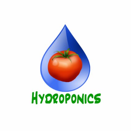 Hydroponics-Tomato, Green Text, Blue drop Acrylic Cut Out