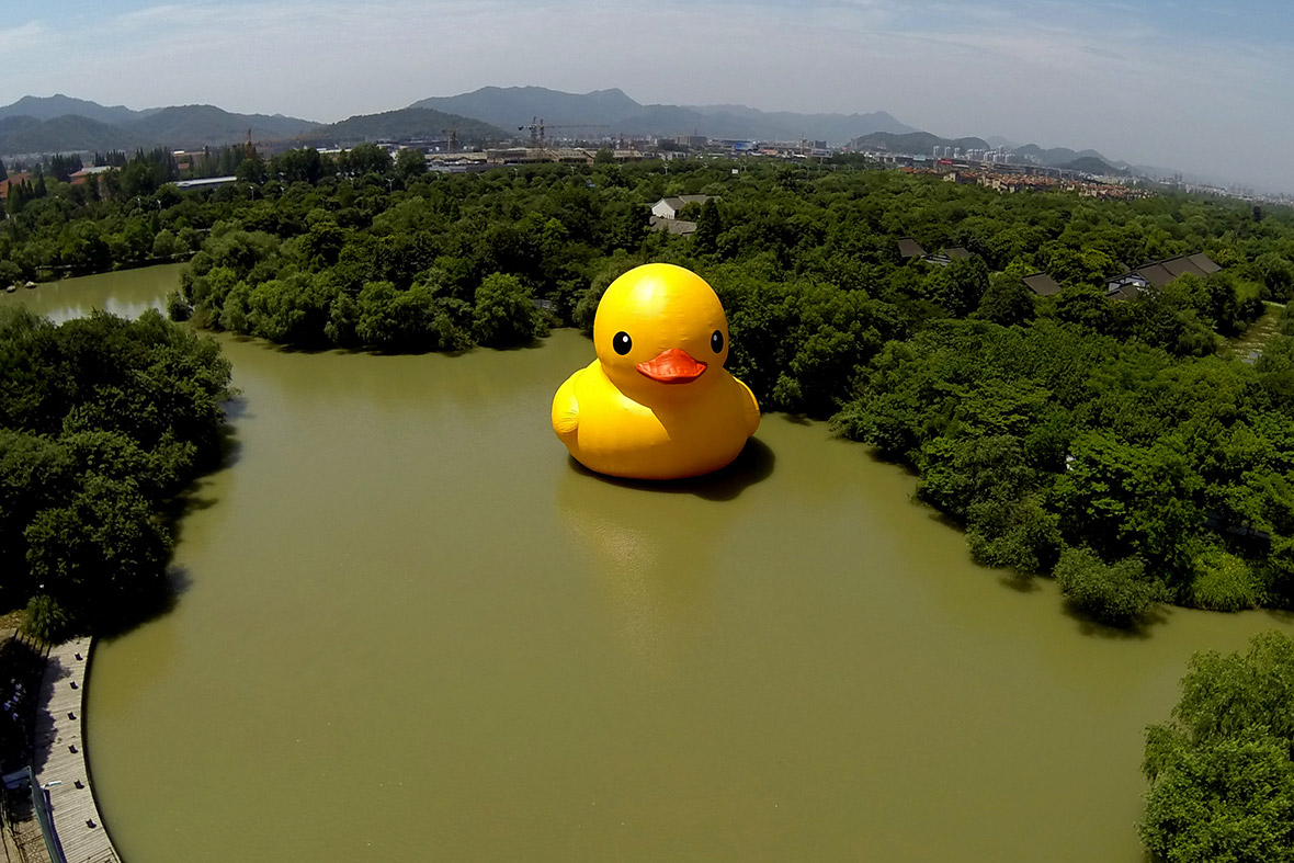 A giant rubber duck designed by Dutch conceptual artist Florentijn Hofman floats at the Xixi National Wetland Park in Hangzhou, Zhejiang Province, China