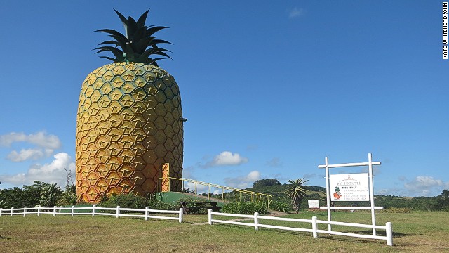 Among a number of eccentric venues in Bathurst, the 17-meter-tall Big Pineapple museum offers farm tours and pineapple tastings. 