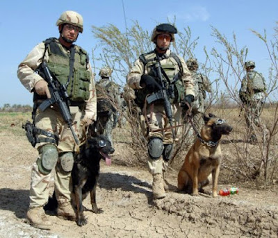 Iraq; Negeri Anjing