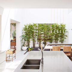 let there be light chicago family renovation atrium kitchen bamboo wall