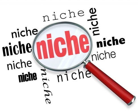 Choosing-a-Niche-for-your-Website-1024x825