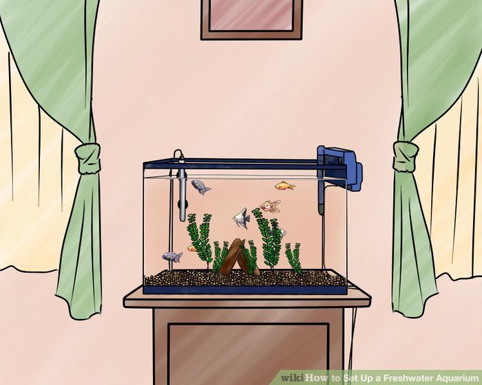 Set up a Freshwater Aquarium Step 11.jpg