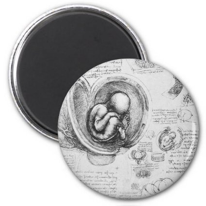 Vintage drawing of a fetus in the uterus 1 magnets