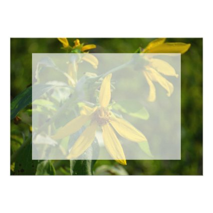 yellow flower daisy style green back image announcements