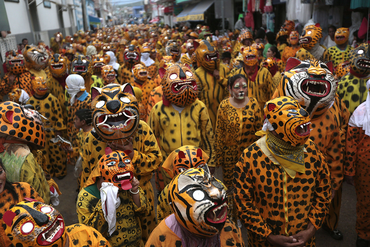 People dressed up as leopards and tigers take part in a traditional parade to ask for rain and plenty of crops, in Chilapa, Guerrero State, Mexico
