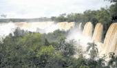 Estruendosos torrentes de agua circulan por las Cataratas del Iguazú a través de los 275 saltos. Su presencia asegura la vida en el Parque Nacional.