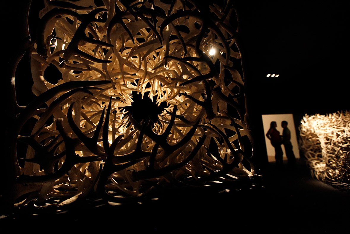 People stand near an installation called Sombras del Bosque (Shadows of the Woods), made out of deer antlers, by Mexican artist Fernando Gonzalez Gortazar at the Museum of Modern Art in Mexico City
