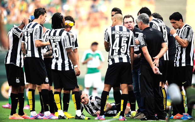 Palmeiras X Santos (Foto: Marcos Ribolli)