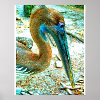 Young pelican head shot, high saturation color posters