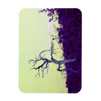 dead tree purple yellow leaves sky vinyl magnets