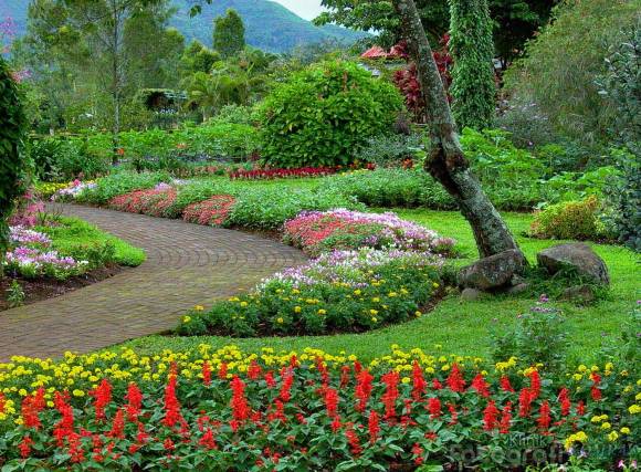 بونشـــــاك الجبل حديقة الزهور Taman taman_bunga_nusantara__-__american_garden.jpg