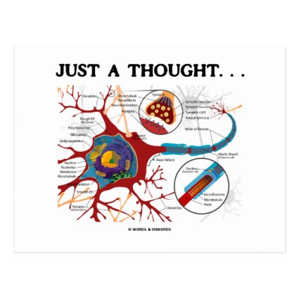 Just A Thought... (Neuron / Synapse) Postcards