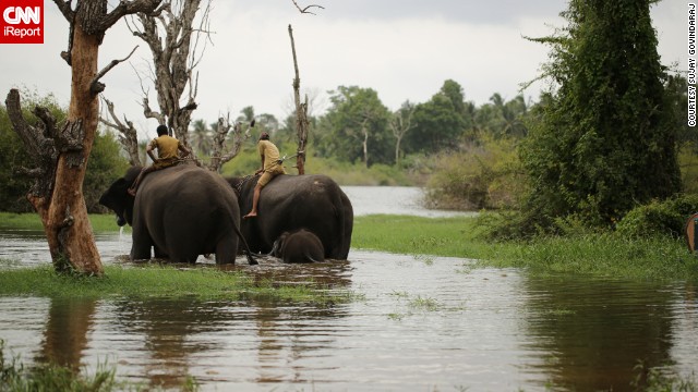 The Tunga River, which stretches 91 miles in southern India, is "always calm, deep and never roars or rushes," according to iReporter <a href='http://ift.tt/1pIkw7n'>Sujay Govindaraj</a>. He shot this serene photo at the Sakrebailu Elephant Camp in Karnataka, India. 