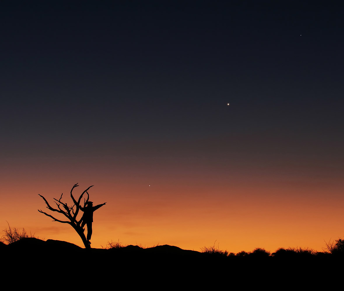 Three Planets in Conjunction by Lóránd Fényes (Hungary). The staggering colours of the sunset and flora of the African savannah afford a unique background for the planetary alignment of Jupiter, Venus and Mercury in June 2013. In the golden hues, the three planets appeared as if they were strung on an invisible thread, and the bare tree and the human figure interwoven both point to one direction: Jupiter.