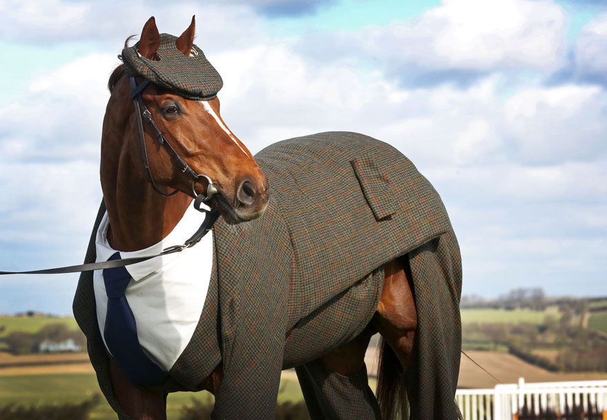 three-piece-tweed-horse-suit-emma-sandham-king-1