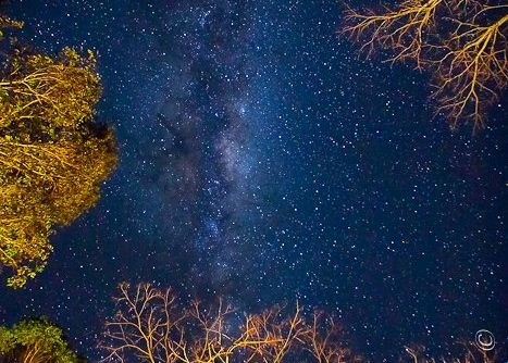 Milky Way in Australia via Erin Cole