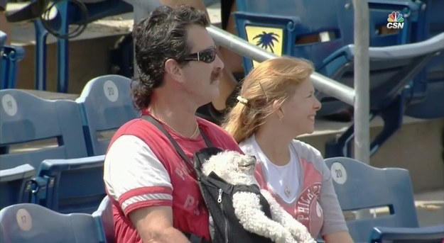 Yesterday, two Phillies fans brought their pupper to a spring training game.