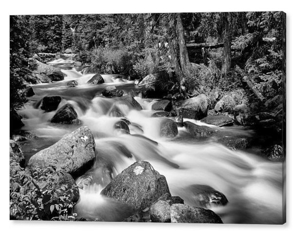 Cascading Rocky Mountain Forest Creek Bw Canvas Print