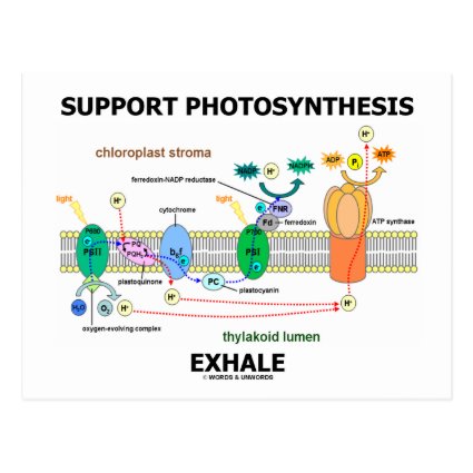 Support Photosynthesis Exhale (Biochemistry Humor) Postcard