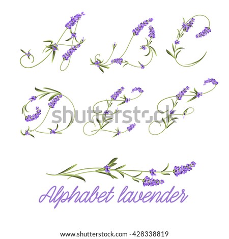 Set of lavender flowers.