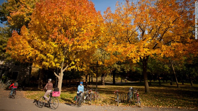 Montreal's Mont-Royal Park is crisscrossed with a network of jogging trails that offer beautiful views of changing fall leaves. 