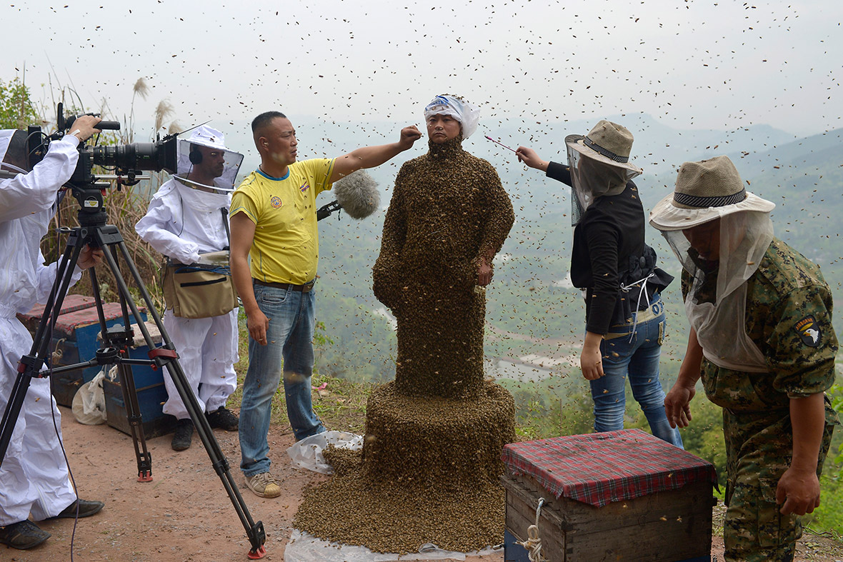 Assistants use incense and cigarettes to drive bees away from She Ping's face. He covered himself in more than 460,000 drones, weighing over 45 kg (99 lbs)