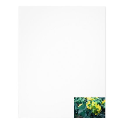 yellow colorized flowers with bee letterhead