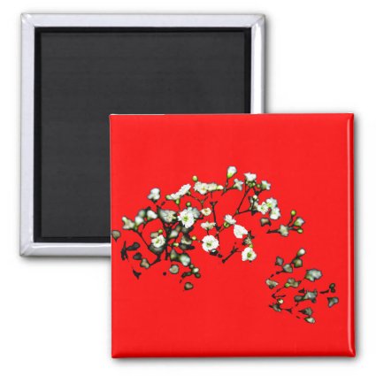babys breath white flowers against red magnet