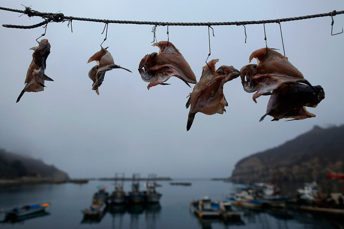Drying fish hang from hooks in a small fishing port on the island of Baengnyeong.