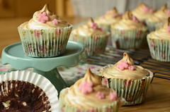 Delicious_ Chocolate and zucchini cupcakes