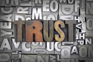 Social Trust Factor: Ignite Online Business Results by Establishing Trust and Authority image photodune 6542842 trust xs 300x199