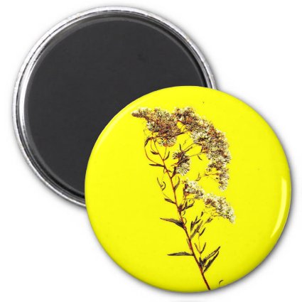Scan of a florida wildflower w yellow background refrigerator magnet