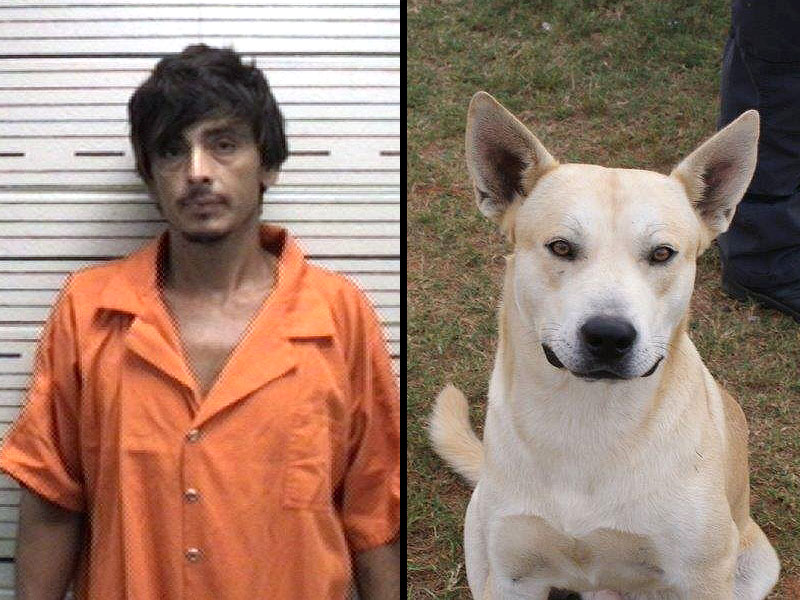 Dog Helps Police Bust Owner on Drug Charges