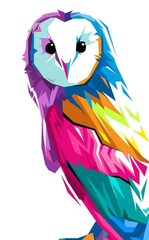 Vector-Owl