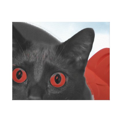 Grey Cat With Orange eyes Blended picture Stretched Canvas Prints
