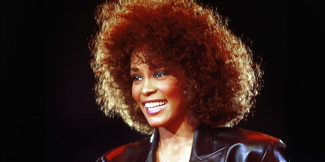 First Authorized Whitney Houston Documentary in the Works